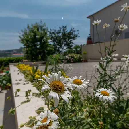 Flora טרוגיר